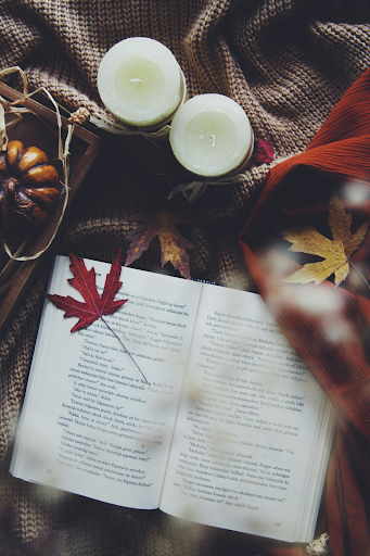 Fall Book Recommendations