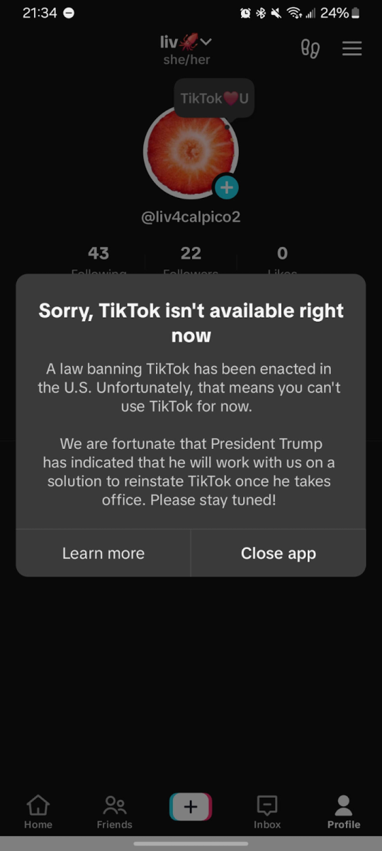 TikTok Ban Follow-Up