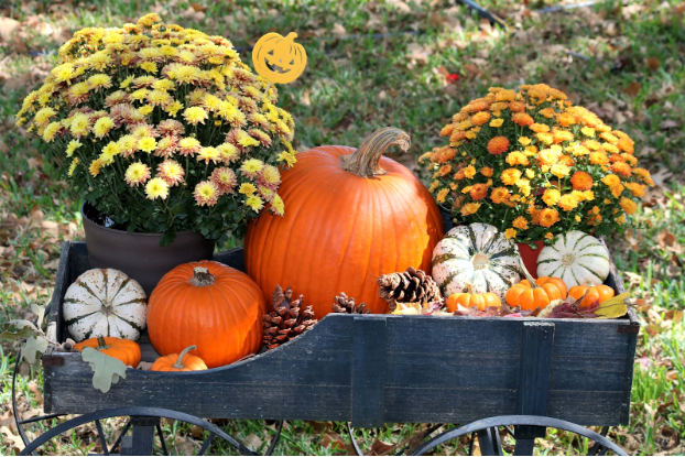 CU Fall Events