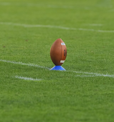 Titled “American Football.” Photo taken by user AleXXw. Located in Wikimedia Commons. License is Creative Commons.